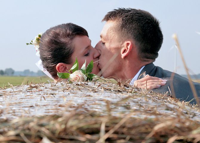 Plenerowa sesja ślubna w polu koło Świecia